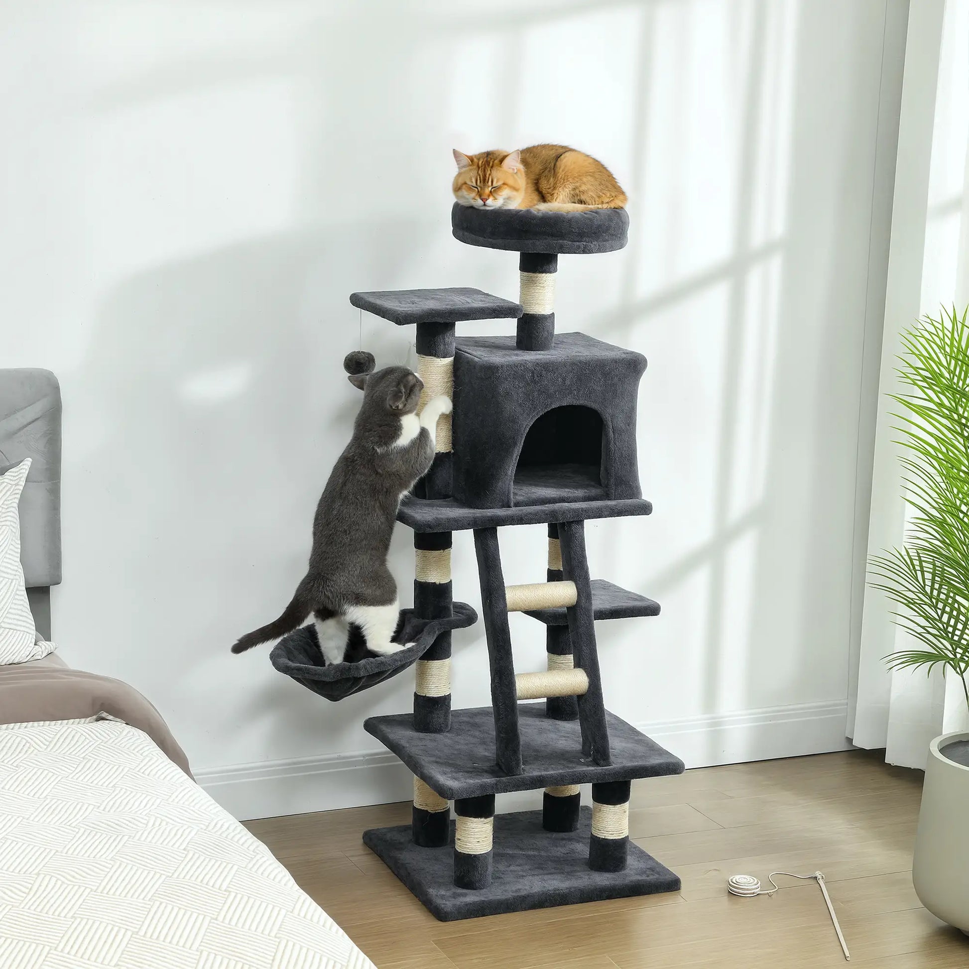 52 Inch Large Cat Tree, Dark Grey Cat Towers at Gallery Canada