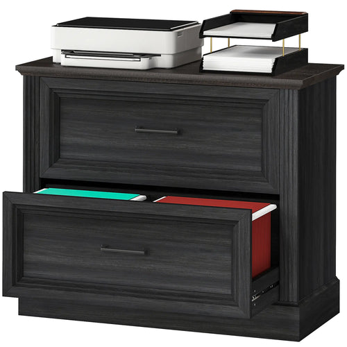 Lateral Filing Cabinet, 2 Silent Drawers, Letter A4 Legal Size, Black