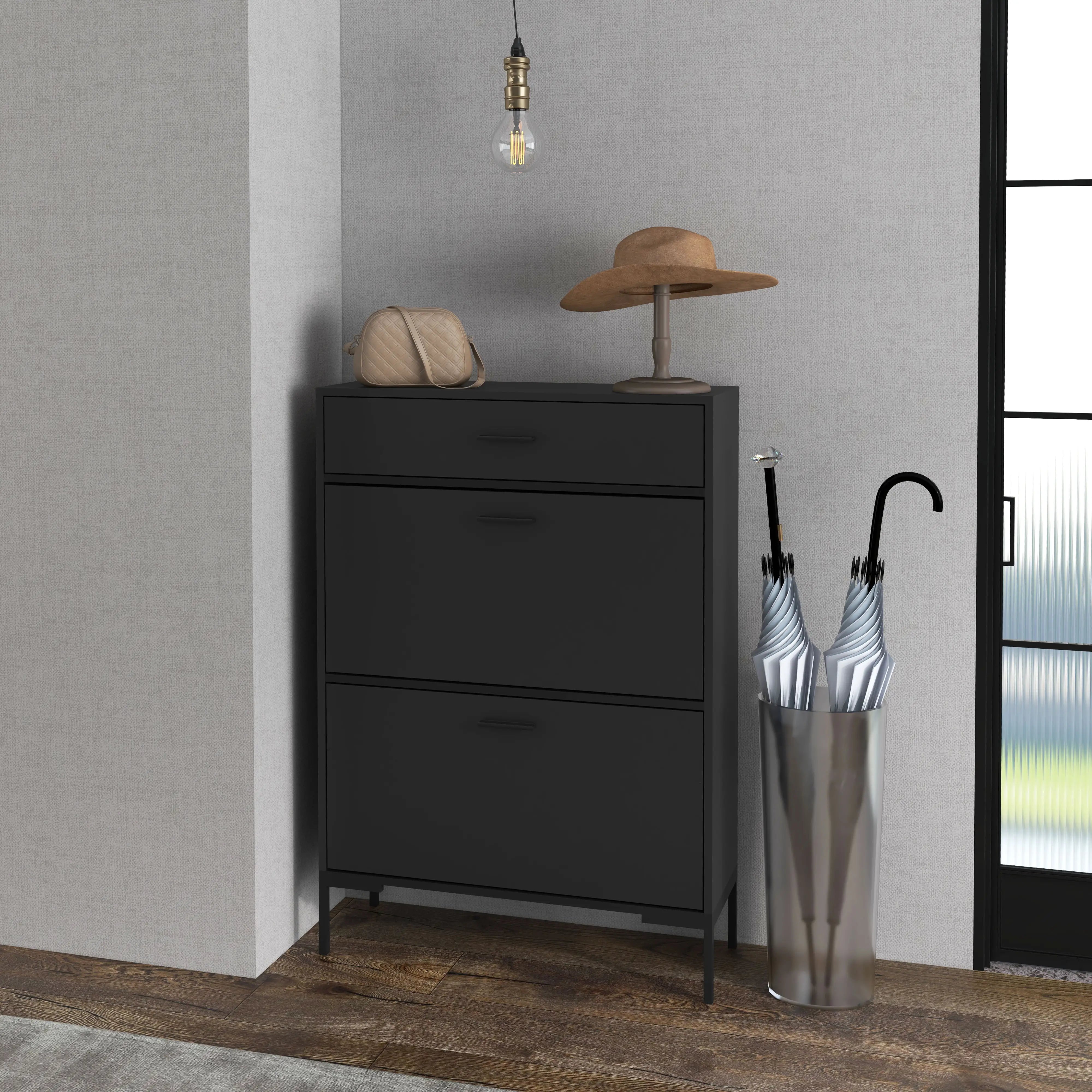 Modern Shoe Cabinet, 12 Pair Organizer, 2 Flip Doors, Adjustable Shelf, Black Shoe Storage Cabinets & Racks at Gallery Canada