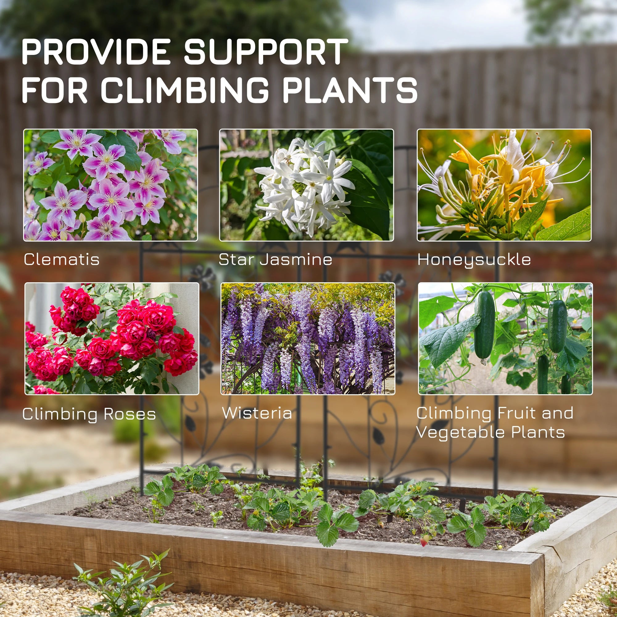 2 Pack Metal Garden Trellis, Birds and Leaves Grid Panels, 39