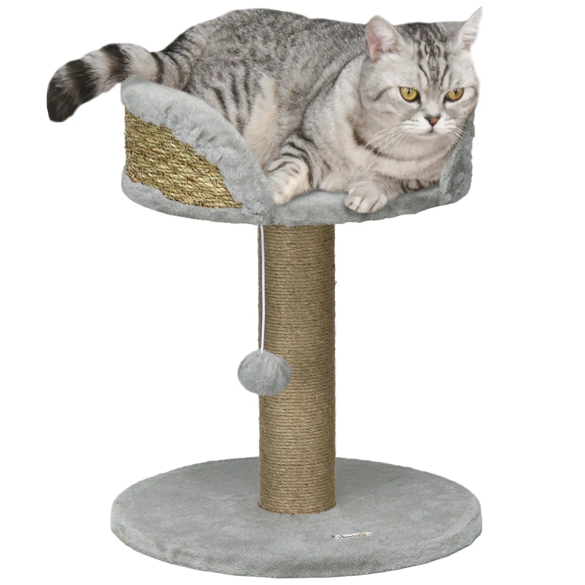 Cat Tree with Scratching Post, Toy Ball, Perch, 16" x 16" x 19", Grey Cat Trees at Gallery Canada