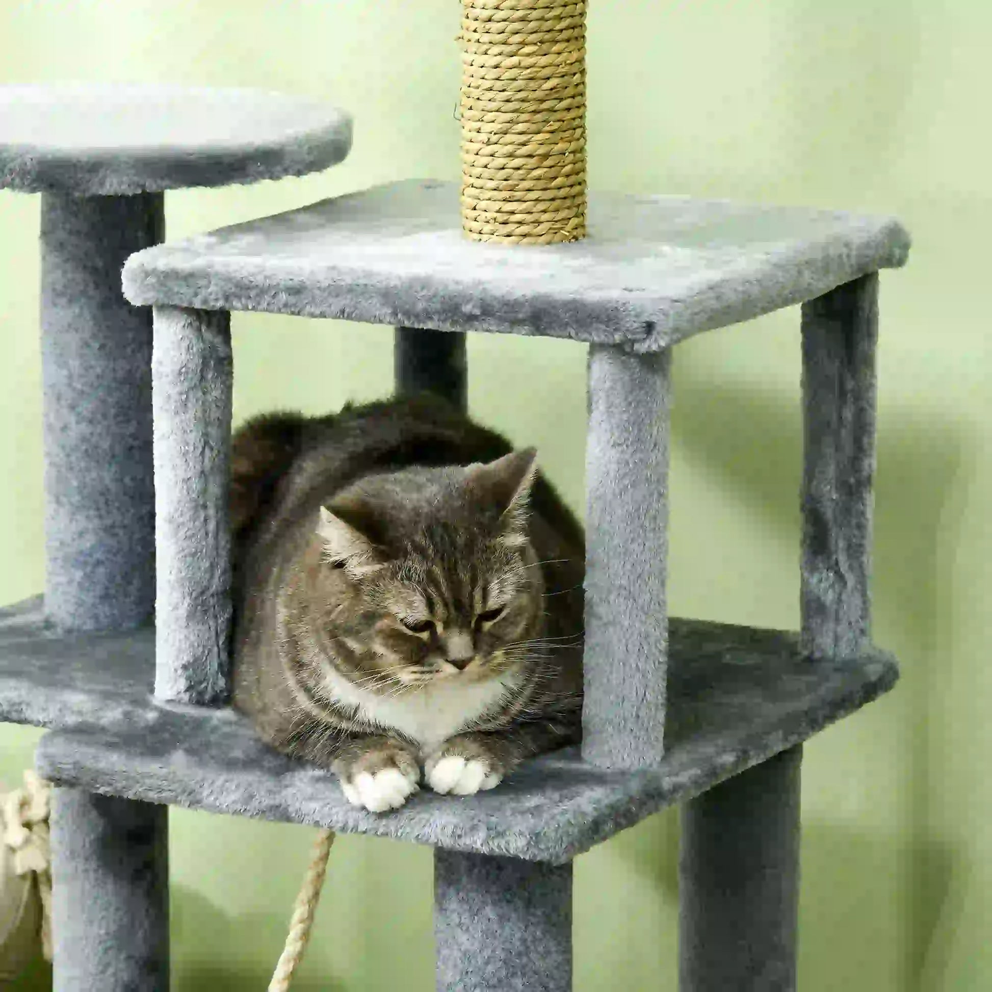 54" Cat Tree for Large Cats, Hammock, Scratching Post, Condo, Grey Cat Towers at Gallery Canada