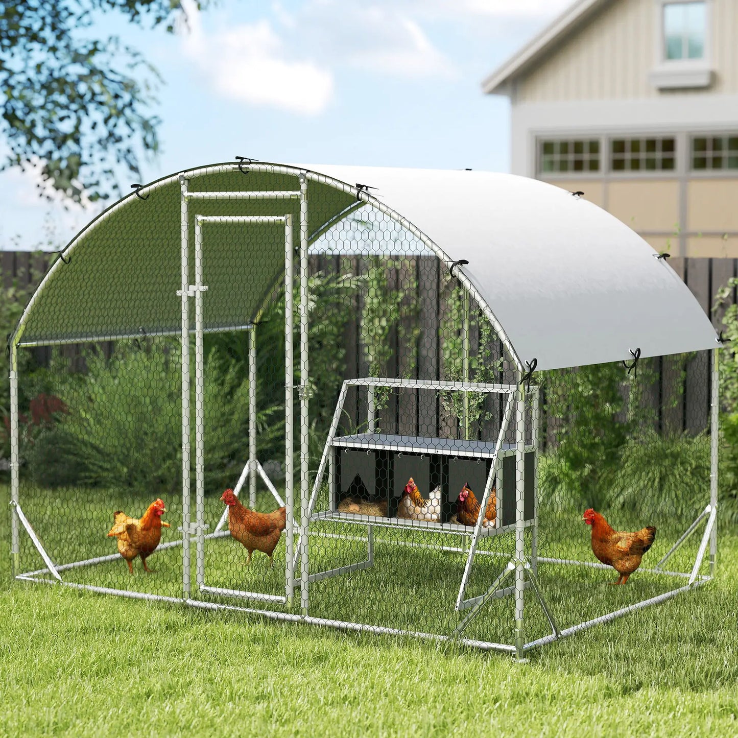 3 Compartment Chicken Nesting Box, Privacy Curtains, Perches, 6-12 Hens Chicken Coops at Gallery Canada