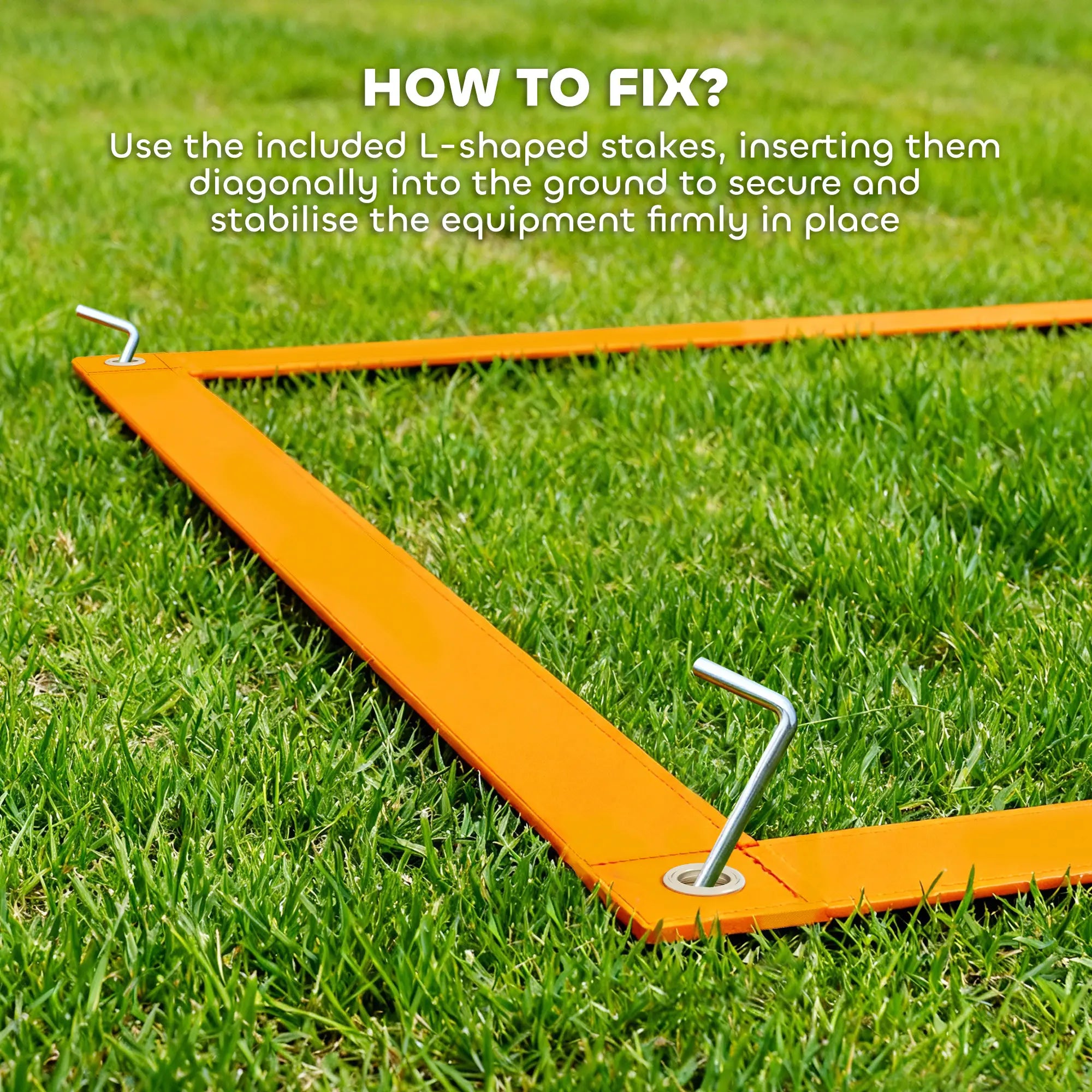 Dog Agility Training Equipment, Weave Poles, Adjustable Hurdle, Jump Ring Dog Agility Training Equipment at Gallery Canada
