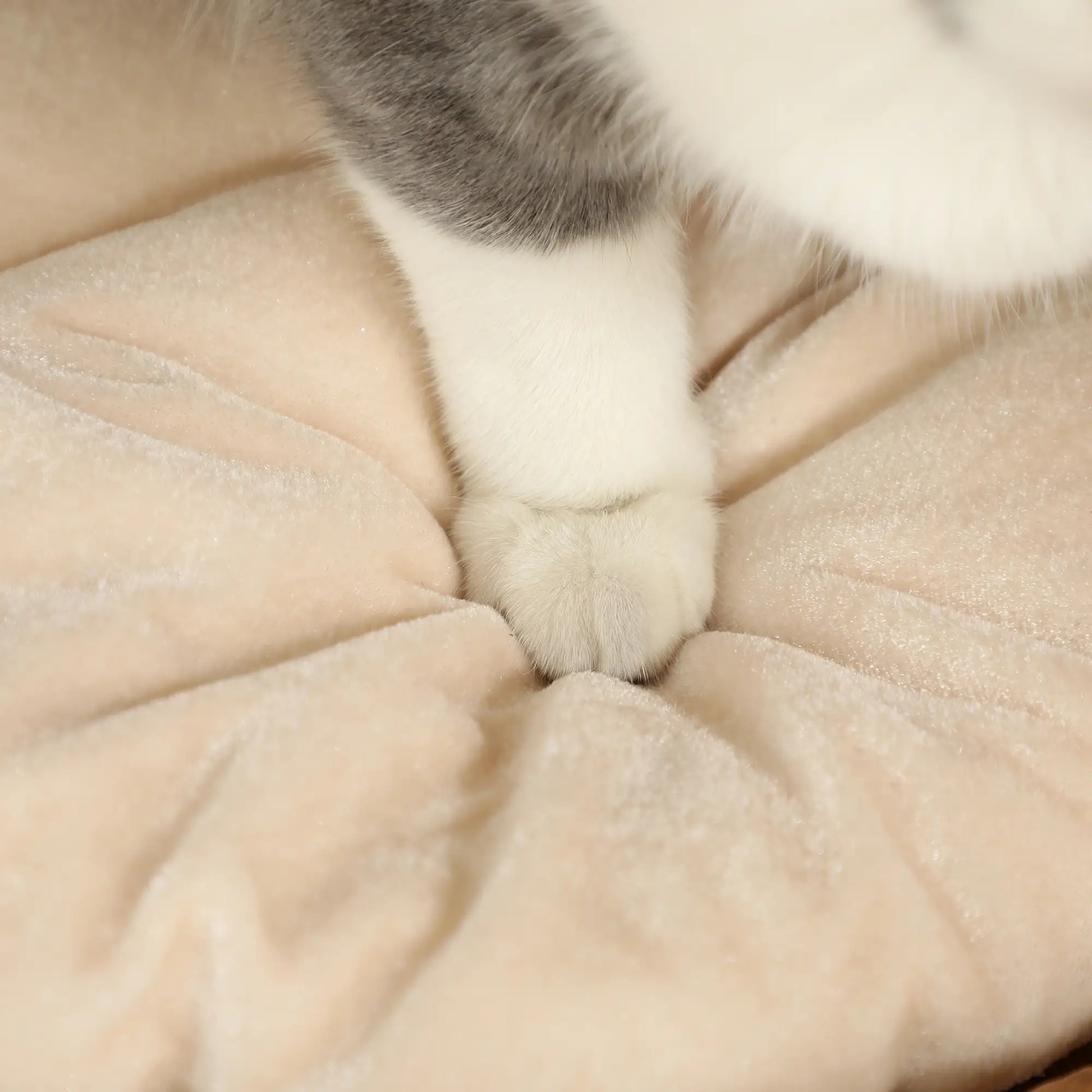 2-Storey Cat Condo Barrel, Small Cat Tree Tower, Light Brown Cat Towers at Gallery Canada