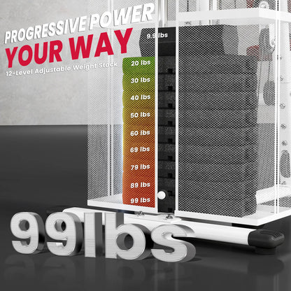 Multifunction Home Gym, 100Lbs Weight Stack, Lat Pulldown, Leg Extensions, White Power Towers at Gallery Canada