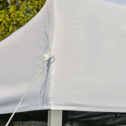 10' x 10' Pop-Up Canopy Tent, 3-Level Adjustable, Silver Pop Up Canopies at Gallery Canada