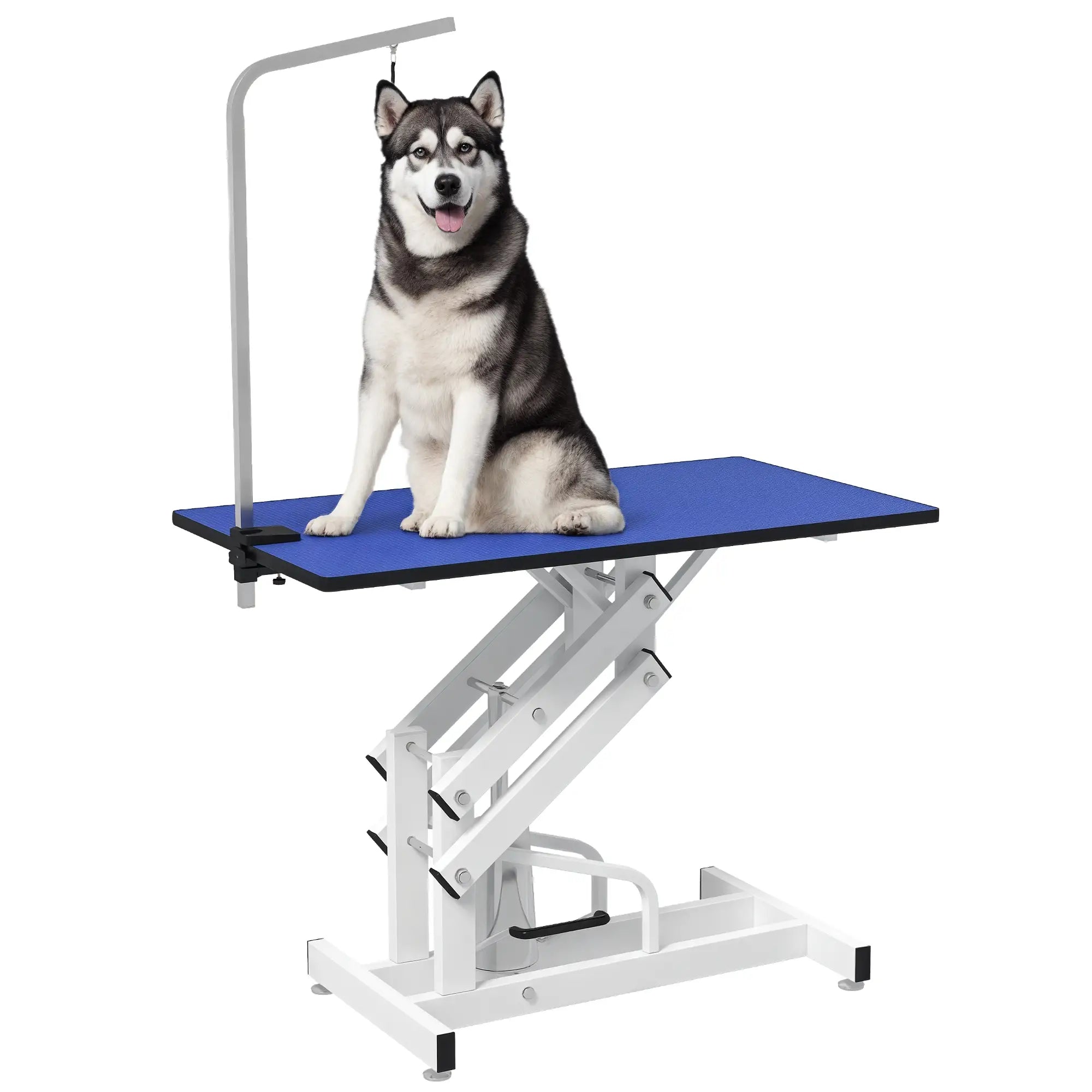 Adjustable Dog Grooming Table With Arm, Noose, Non-Slip, Blue Dog Grooming Tables at Gallery Canada