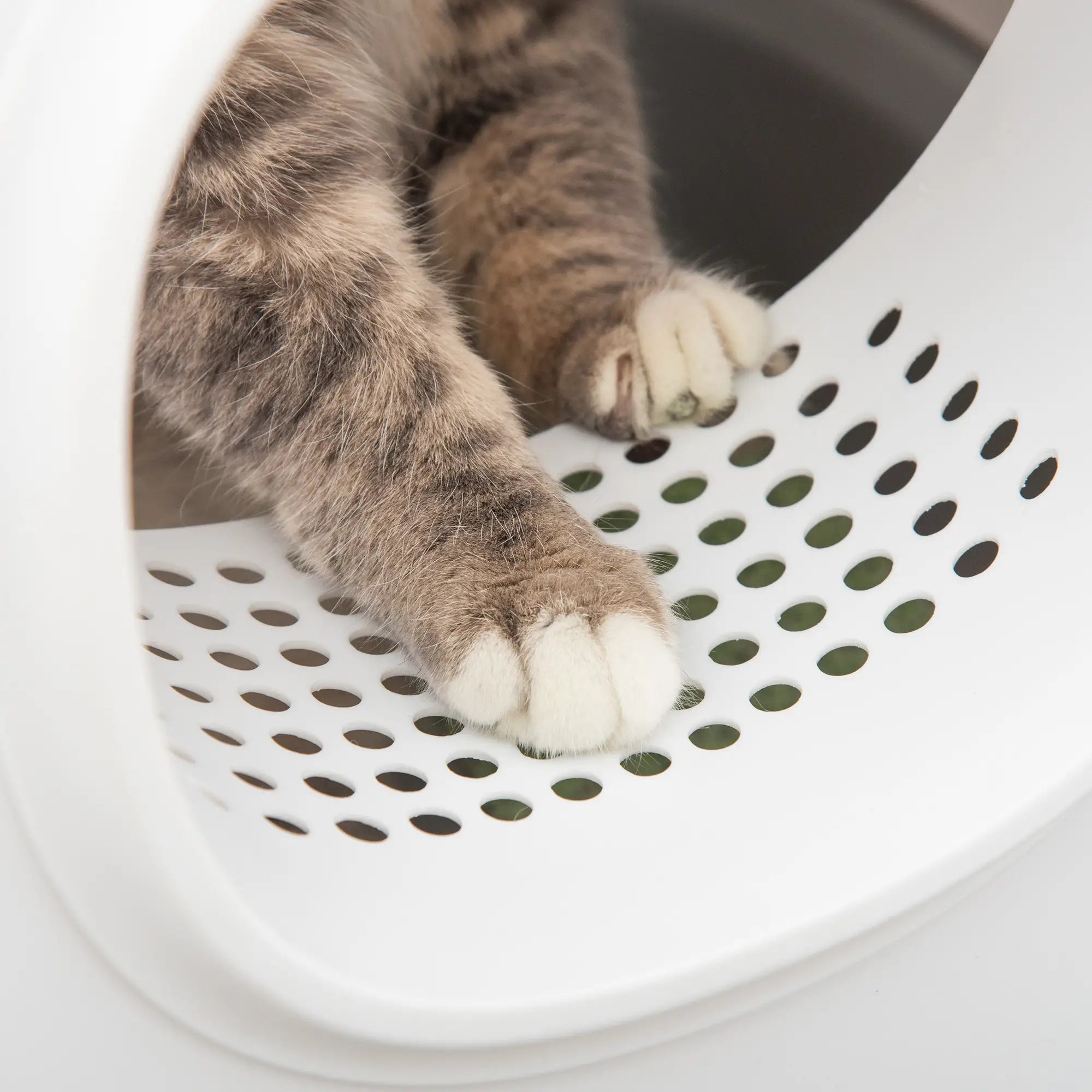 Cat Litter Box, Anti-Sand Tunnel, Scoop, Open Top, White Cat Litter Box Enclosures at Gallery Canada