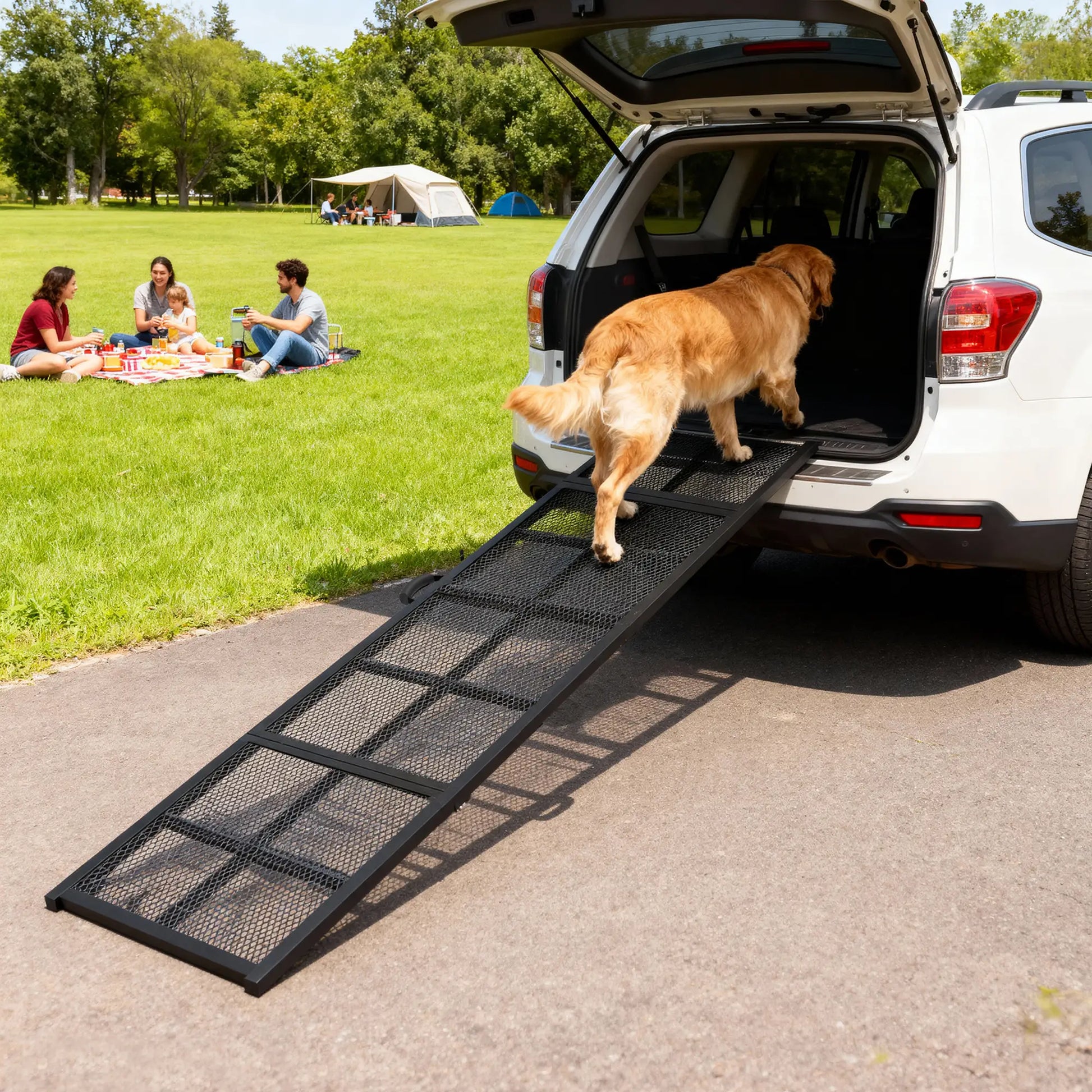75 Inch Folding Portable Dog Car Ramp for Large Dogs, Extra Long Wide Dog Stairs at Gallery Canada
