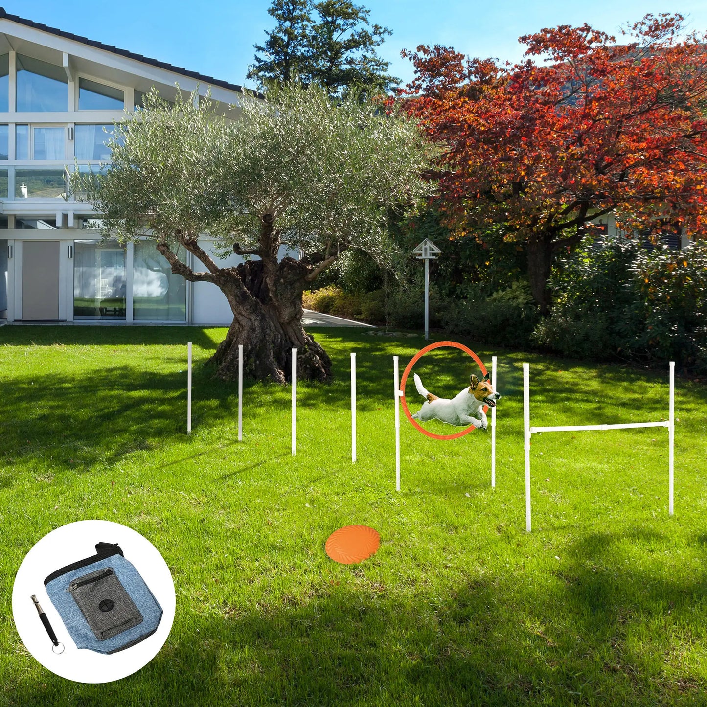 5 Pcs Dog Agility Training Set, Disc, Whistle, Weave Poles, Jump Poles, Food Bag, Carry Bag Dog Agility Training Equipment at Gallery Canada