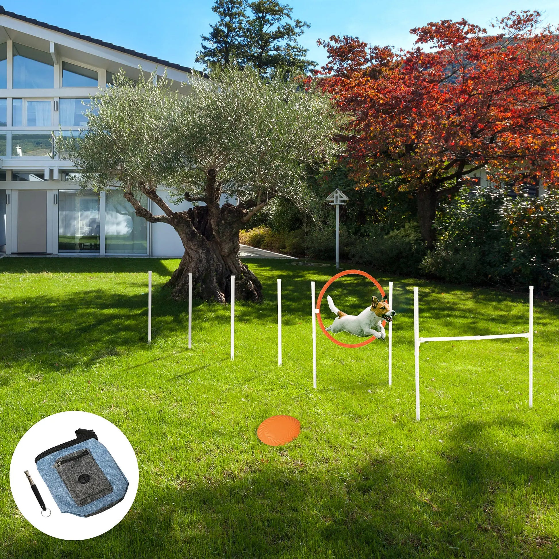 5 Pcs Dog Agility Training Set, Disc, Whistle, Weave Poles, Jump Poles, Food Bag, Carry Bag Dog Agility Training Equipment at Gallery Canada