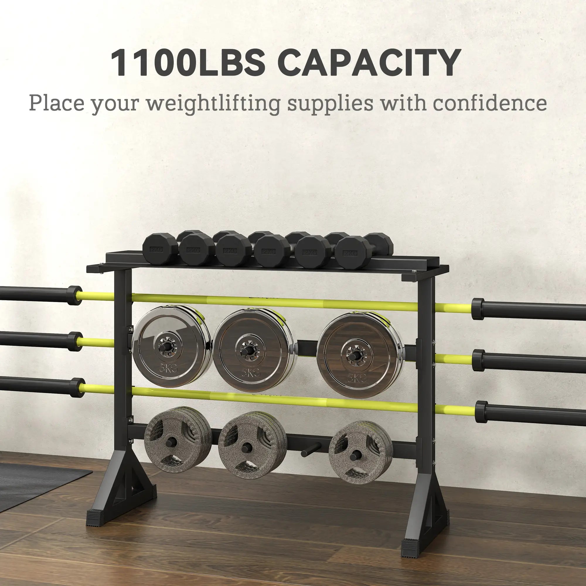 1100LBS Capacity Weight Rack, Plate and Dumbbell Rack, Home Gym Storage Benches Racks & Bars at Gallery Canada