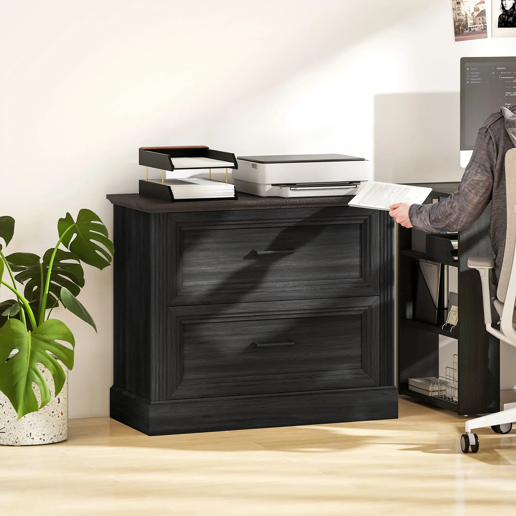 Lateral Filing Cabinet, 2 Silent Drawers, Letter A4 Legal Size, Black Office Cabinets & Cupboards at Gallery Canada