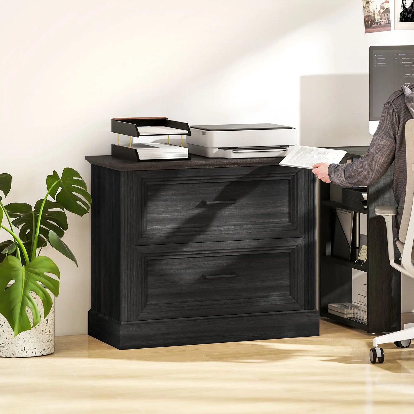 Lateral Filing Cabinet, 2 Silent Drawers, Letter A4 Legal Size, Black Office Cabinets & Cupboards at Gallery Canada