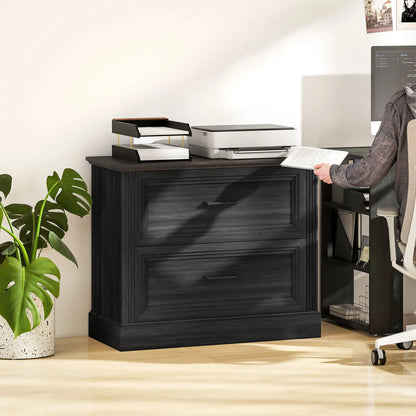 Lateral Filing Cabinet, 2 Silent Drawers, Letter A4 Legal Size, Black Office Cabinets & Cupboards at Gallery Canada