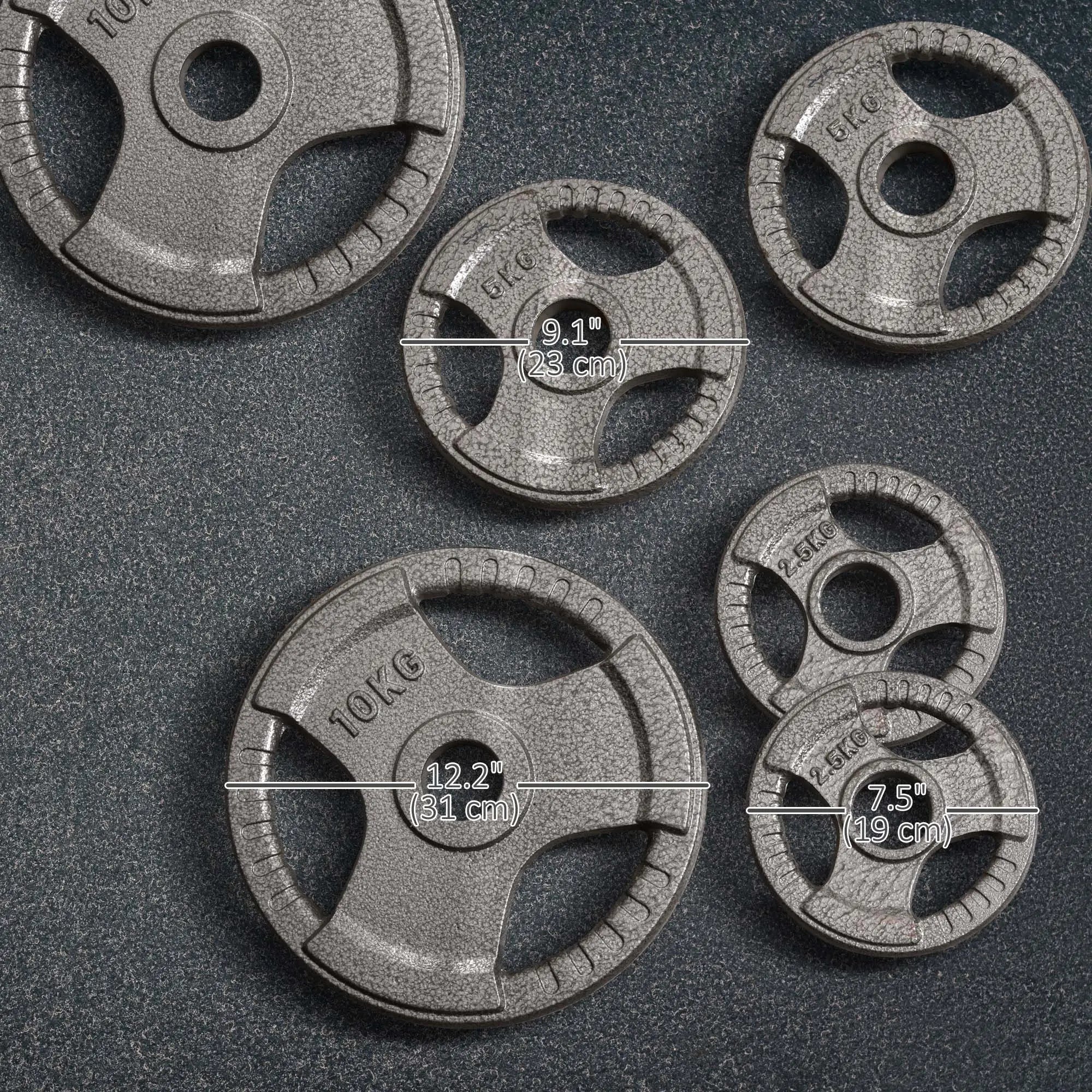 6 PCS Weight Plates, Grip Plate Set, Strength Training, 77 Lbs Dumbbells & Barbells at Gallery Canada