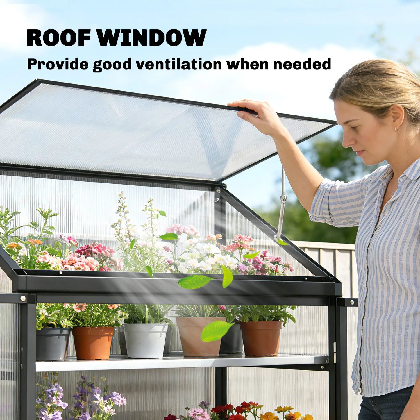 Polycarbonate Greenhouse With 2-Tier Shelves, Black Cold Frame Greenhouses at Gallery Canada