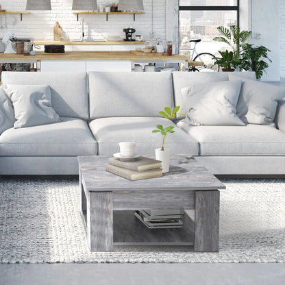 Modern Coffee Table with Storage, Square, Living Room, Grey