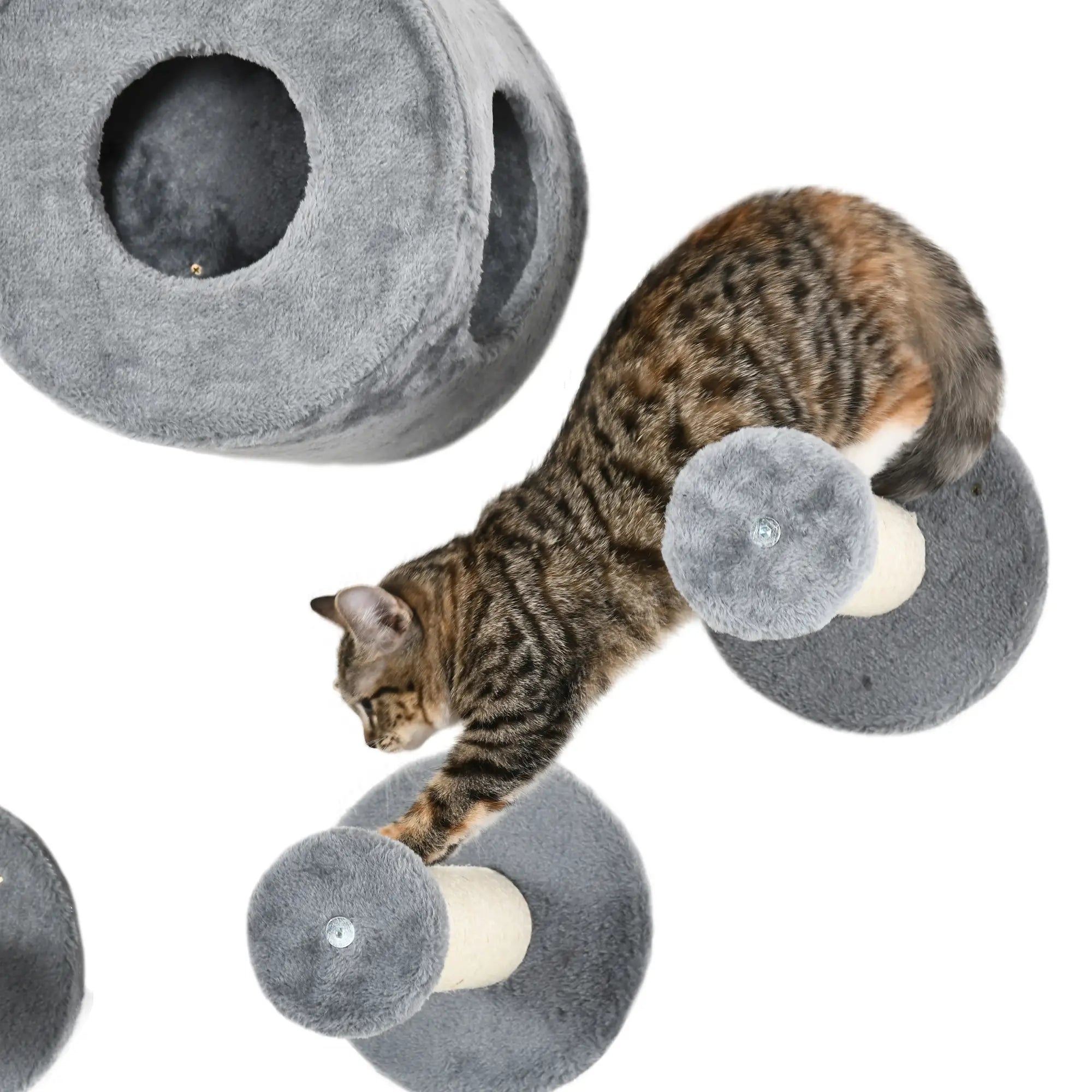 Wall-Mounted Pet Climbing Shelf Set, Grey Cat Climbing Wall at Gallery Canada