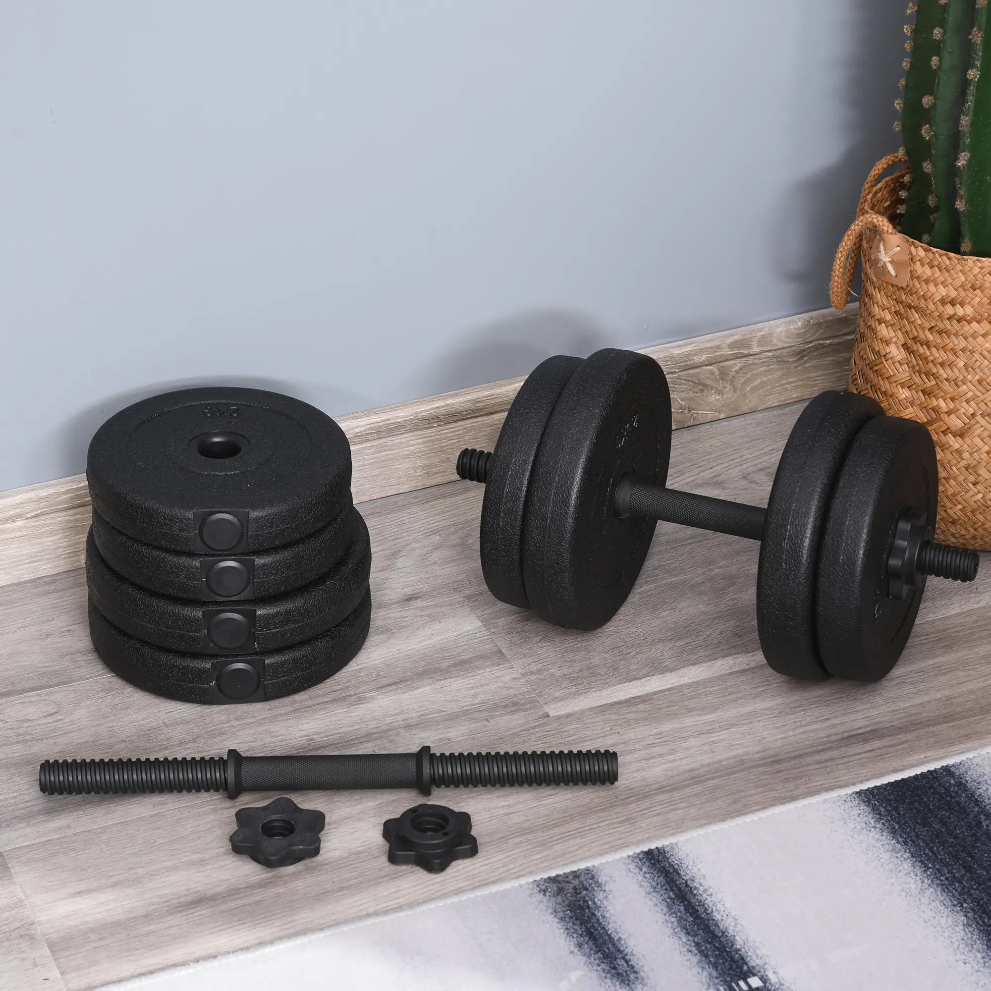 Adjustable 2 x 22lbs Dumbbell Set, Fitness Training, Black Dumbbells & Barbells at Gallery Canada