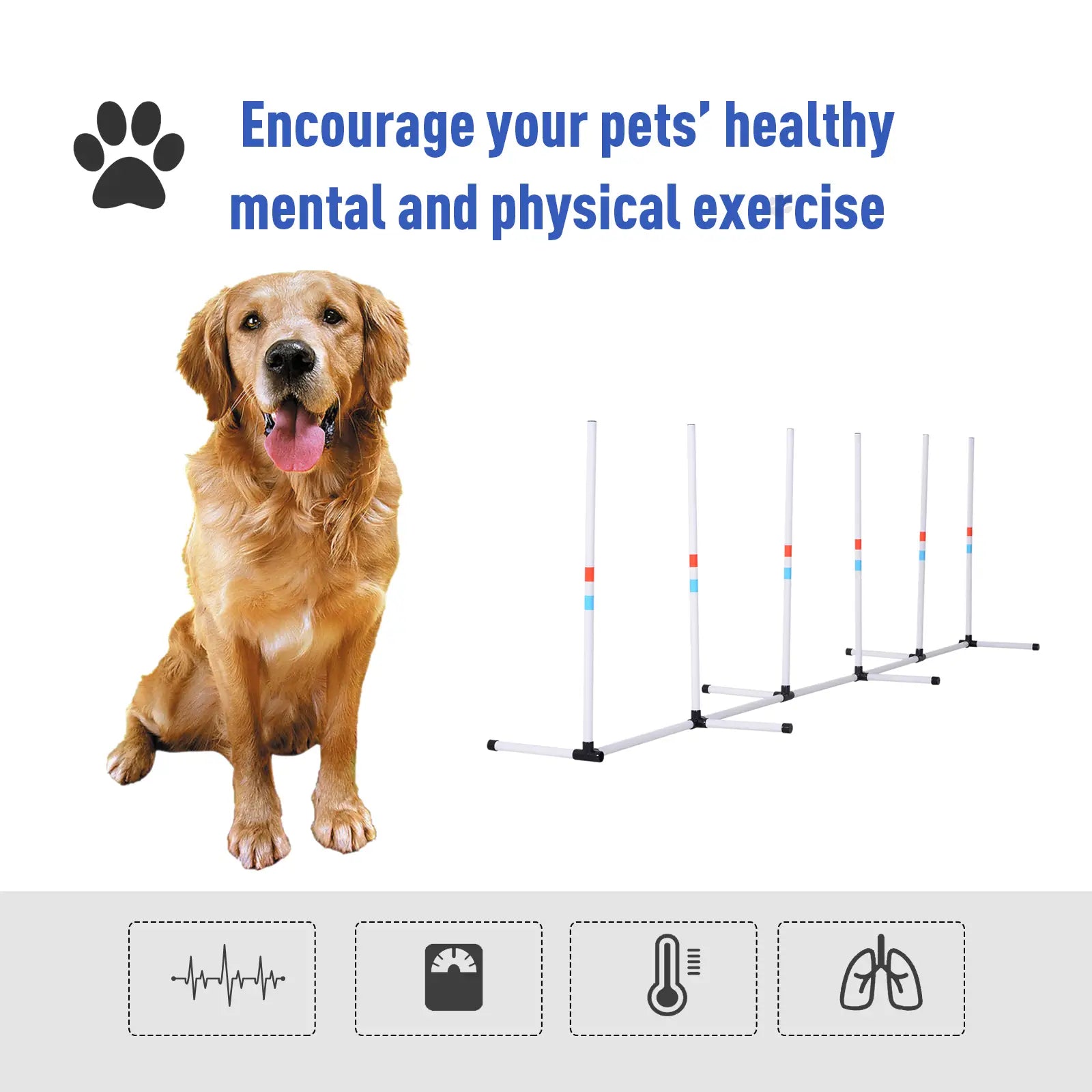 Adjustable Dog Agility Set, Weave Poles, Storage Bag, White Dog Agility Training Equipment at Gallery Canada