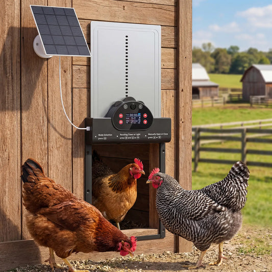 2K HD AI Camera Chicken Coop Door, WiFi Solar Powered, 5200 mAh Battery, Alarm Chicken Coops Black, Silver at Gallery Canada