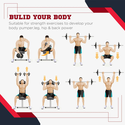 4 Piece Dumbbell Weight Plates Set, 2 x 11lbs and 2 x 22lbs, Black Dumbbells & Barbells at Gallery Canada