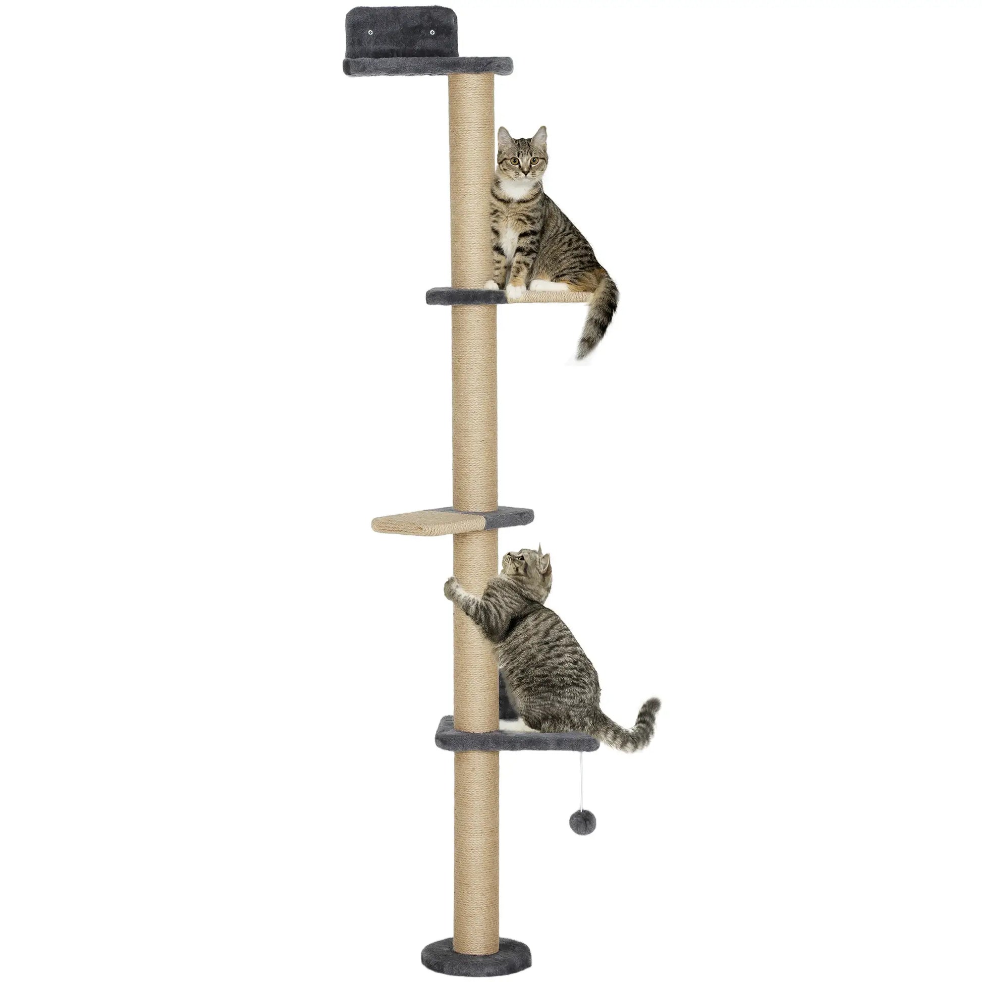 Cat Wall Shelves, 4 Platforms, Jute Scratching Post, Dark Grey Cat Climbing Wall at Gallery Canada
