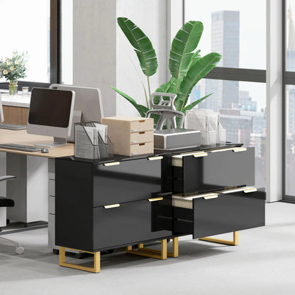 Lateral File Cabinet, 2 Drawers, Letter/A4/Legal Size, High Gloss Black Office Cabinets & Cupboards at Gallery Canada