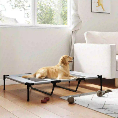 Elevated Dog Bed, XL Dog Cot, 48" x 36" x 9", Light Grey Elevated Dog Beds at Gallery Canada