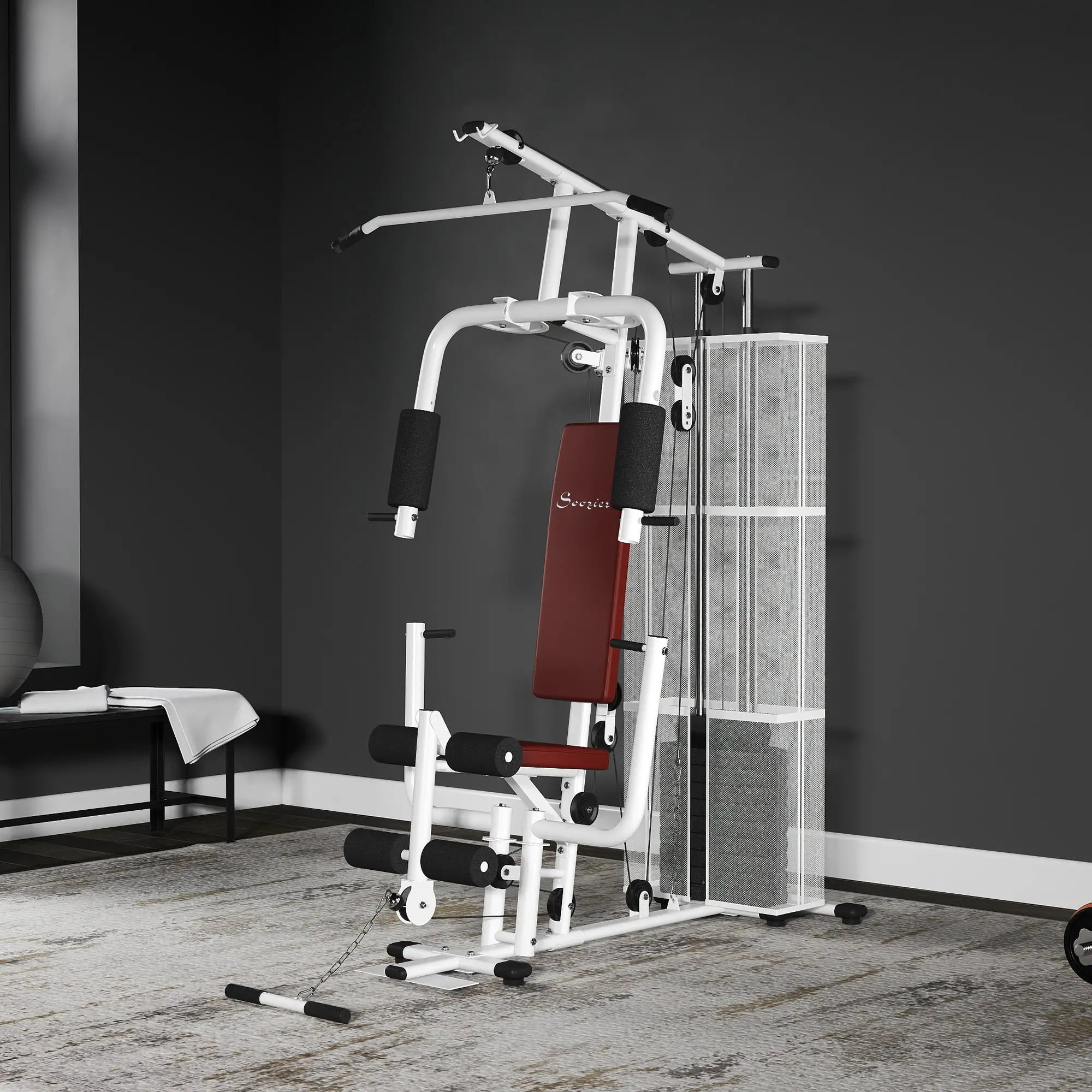 Multifunction Home Gym, 100Lbs Weight Stack, Lat Pulldown, Leg Extensions, White Power Towers at Gallery Canada