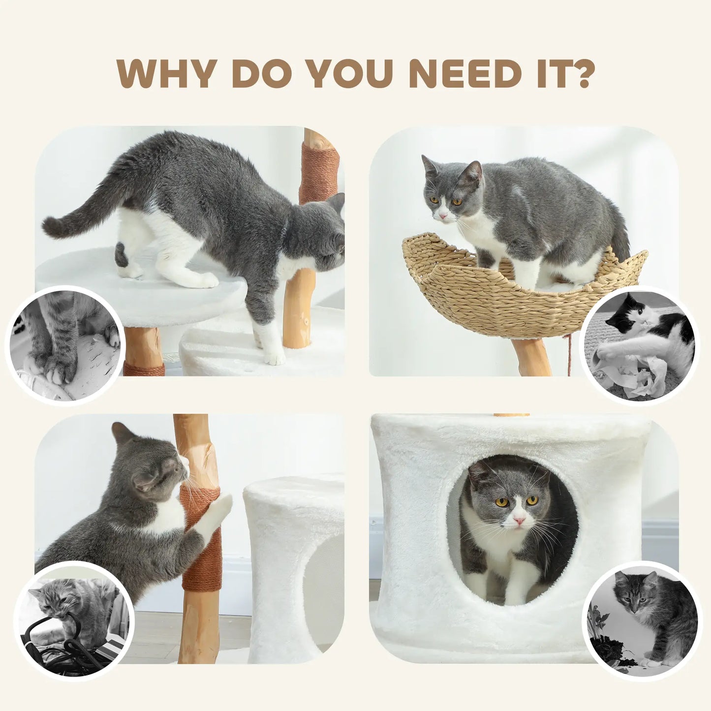 40 Inch Real Wood Cat Tree, Large Adult Cats, Scratching Posts, Condo, Perch Cat Trees at Gallery Canada