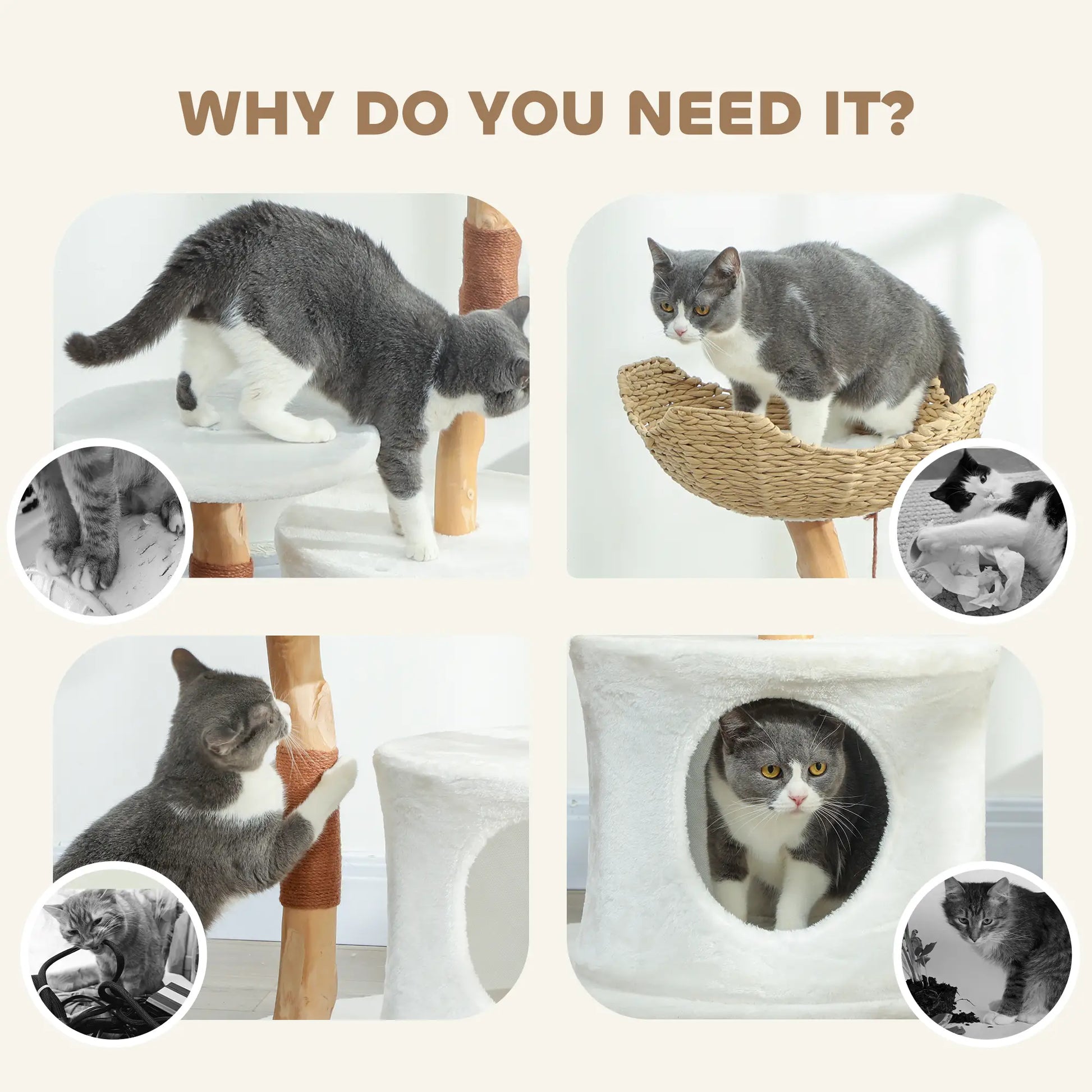 40 Inch Real Wood Cat Tree, Large Adult Cats, Scratching Posts, Condo, Perch Cat Trees at Gallery Canada