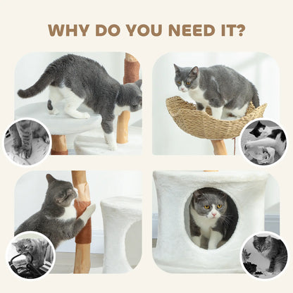 40 Inch Real Wood Cat Tree, Large Adult Cats, Scratching Posts, Condo, Perch Cat Trees at Gallery Canada