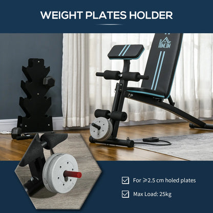 Foldable Adjustable Press Bench, Weight Training Gym Chair, Black & Blue