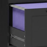 Vertical Filing Cabinet, 2 Drawers, Lock, A4 Letter, Black