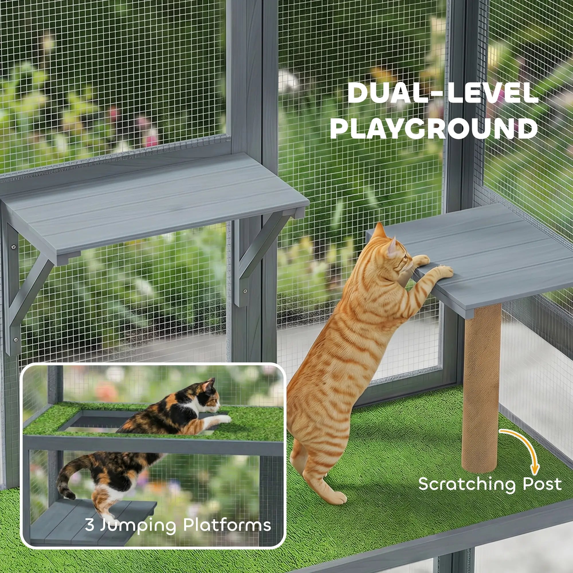 Wooden Catio, 77
