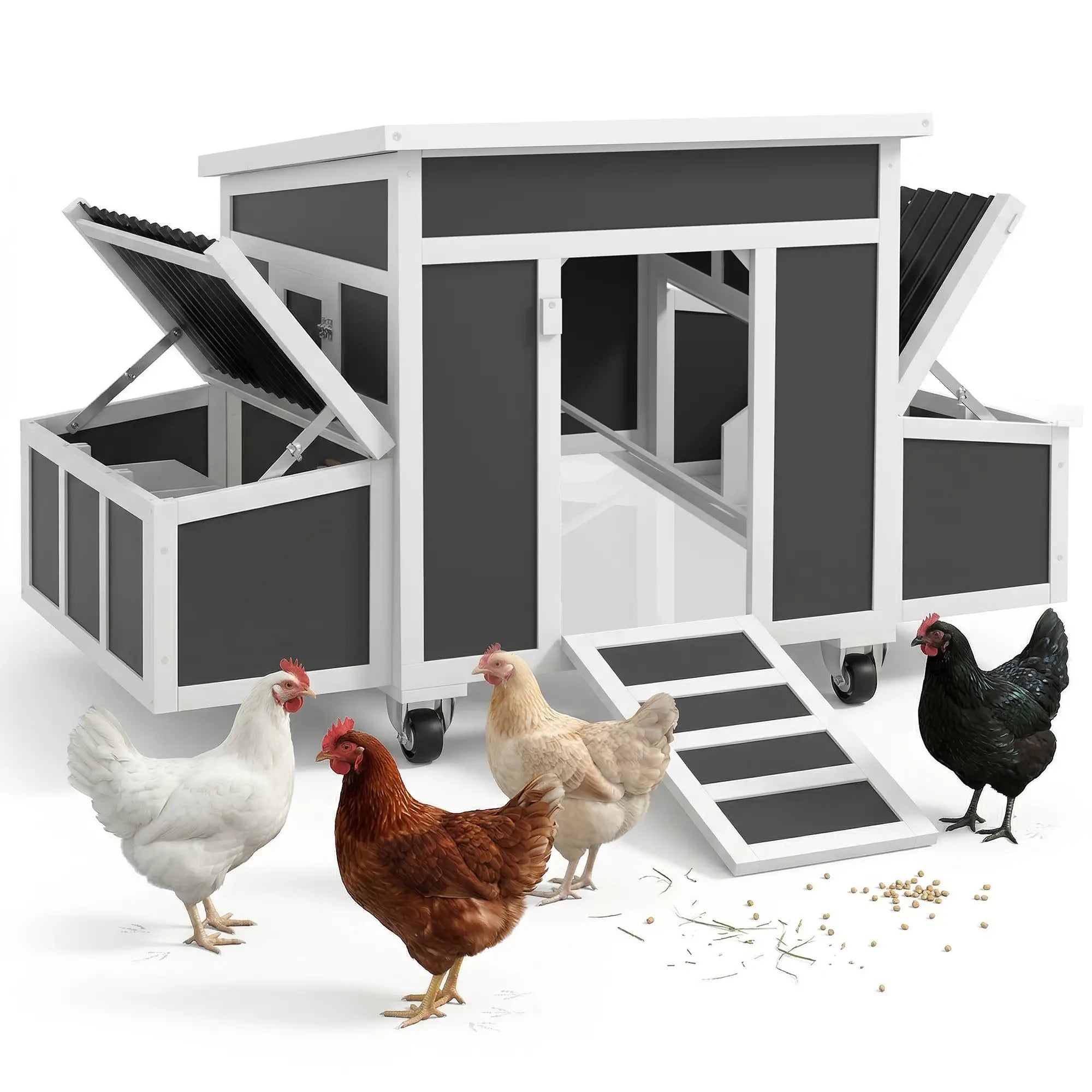Wooden Chicken Coop With Nesting Box, 6 Chickens, Dark Grey Chicken Coops at Gallery Canada