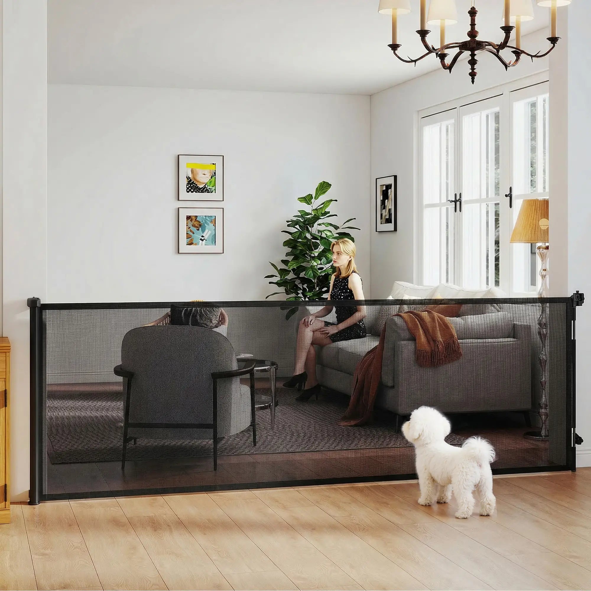 Retractable Dog Gate, 41