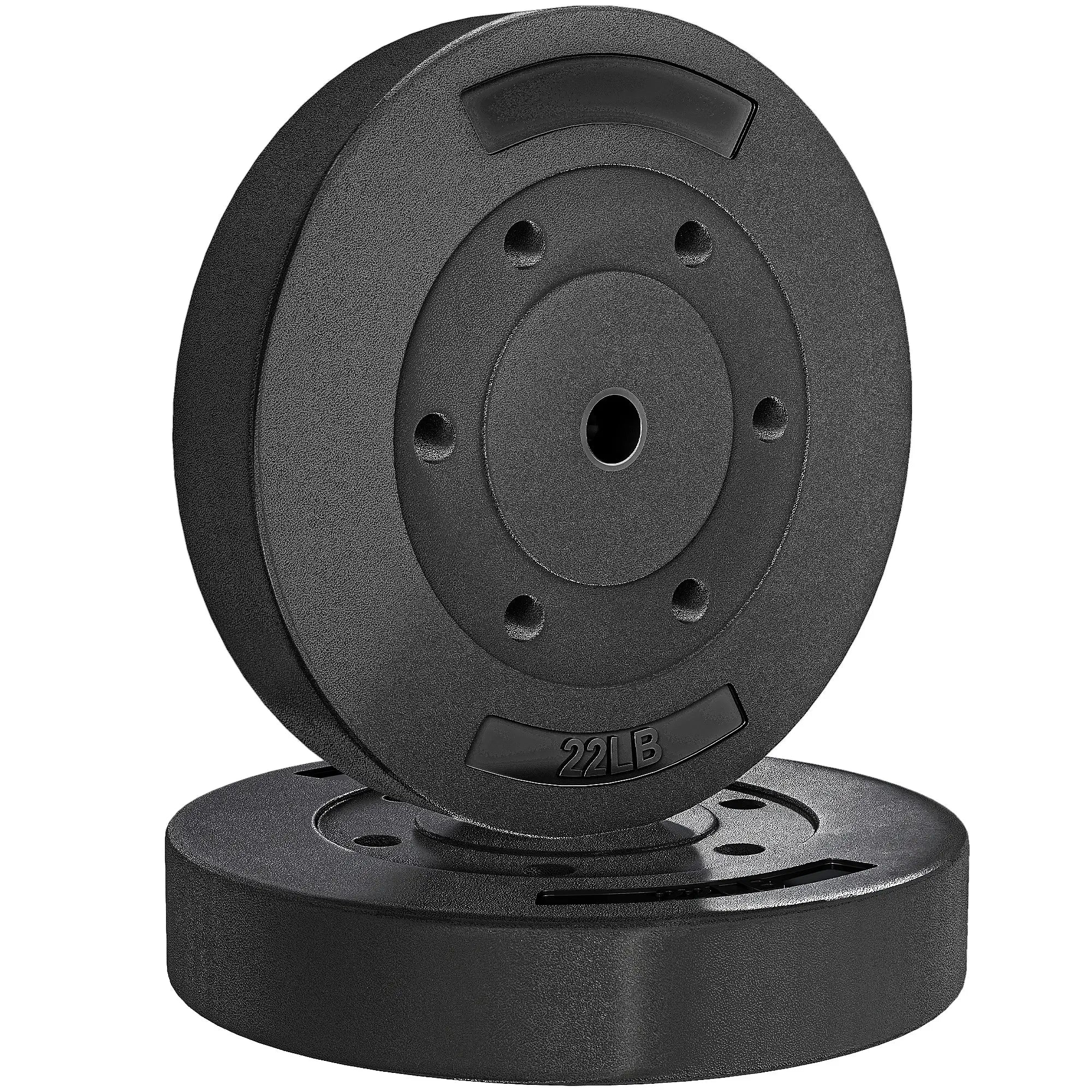 Weight Plates Set, 1-Inch Barbell Weight Set, 2 x 22 lbs Dumbbells & Barbells at Gallery Canada