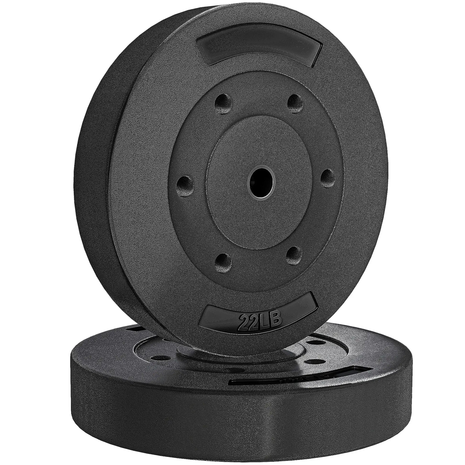 Weight Plates Set, 1-Inch Barbell Weight Set, 2 x 22 lbs Dumbbells & Barbells at Gallery Canada