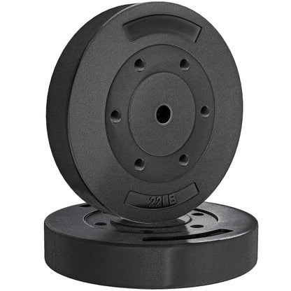 Weight Plates Set, 1-Inch Barbell Weight Set, 2 x 22 lbs Dumbbells & Barbells at Gallery Canada