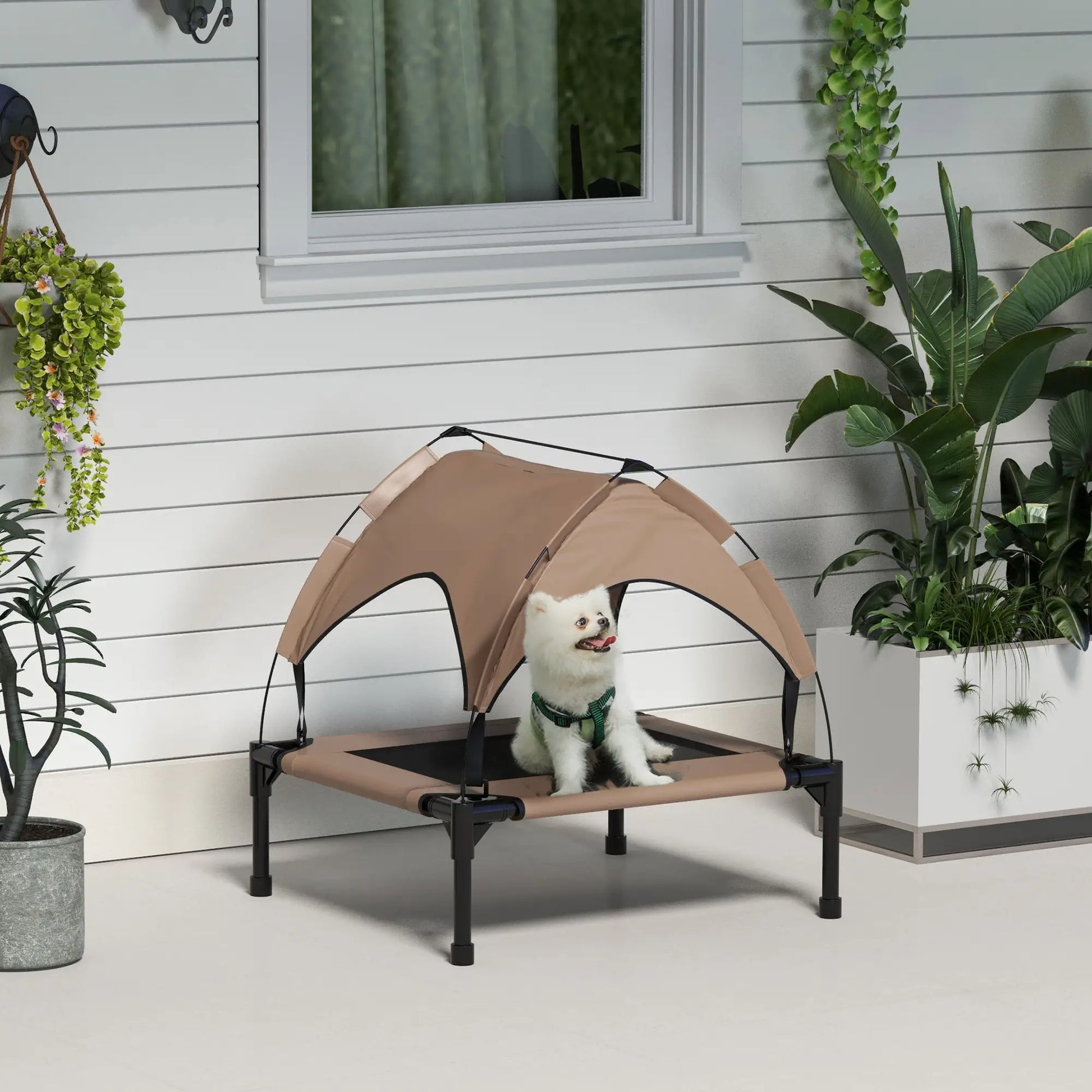 Raised Dog Bed Cooling Dog Cot w/ Canopy Washable Breathable Mesh, for Small and Medium Dogs, Coffee Elevated Dog Beds at Gallery Canada