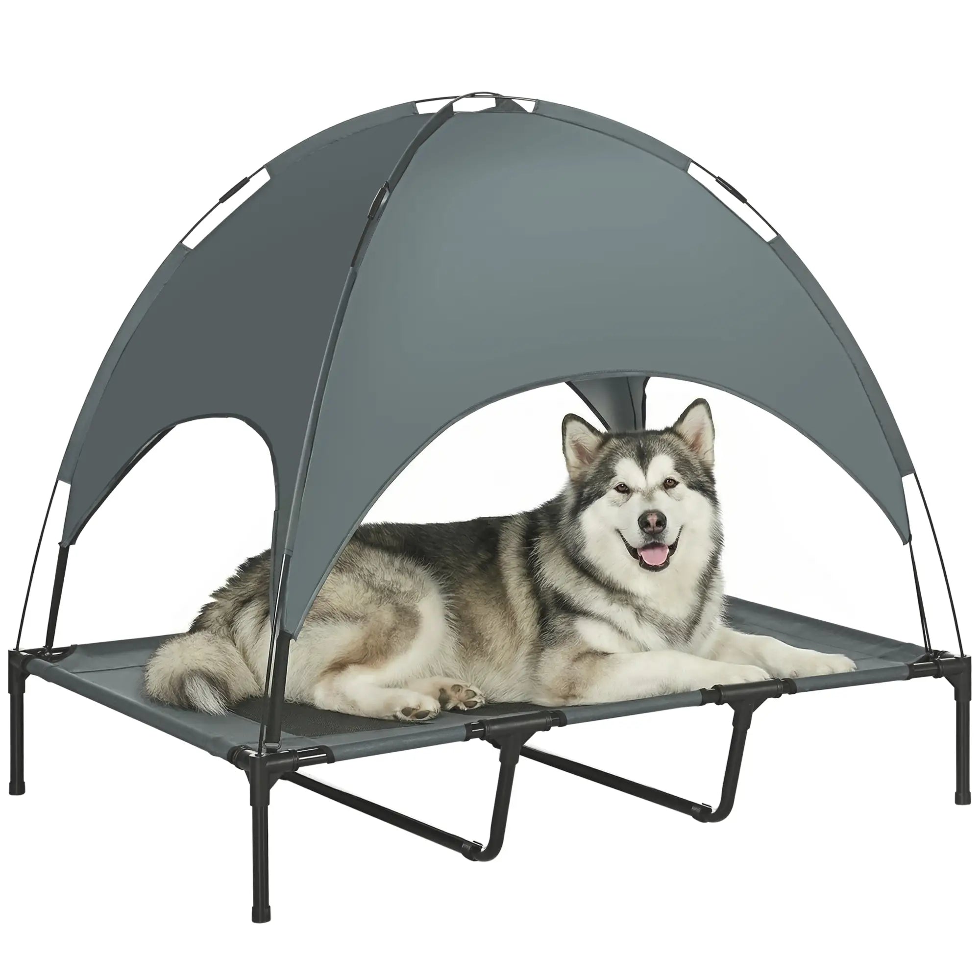 Elevated Dog Bed with Canopy, Portable XL Dog Cot, 48