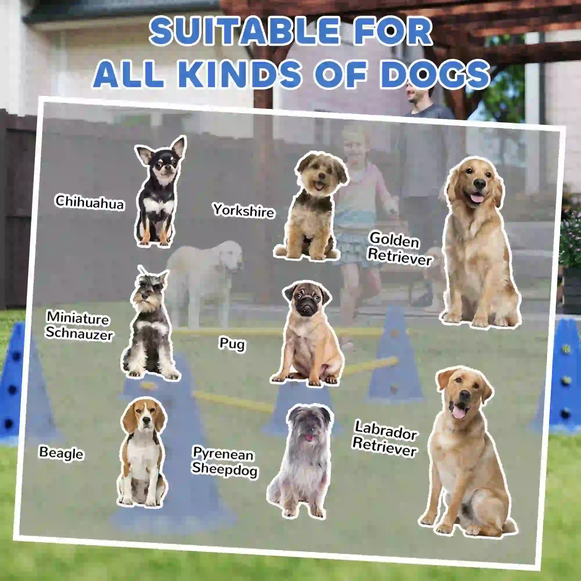 Dog Agility Hurdle Cone Set, Adjustable Obstacle Course, 6 Cones & Poles, Blue Dog Agility Training Equipment at Gallery Canada