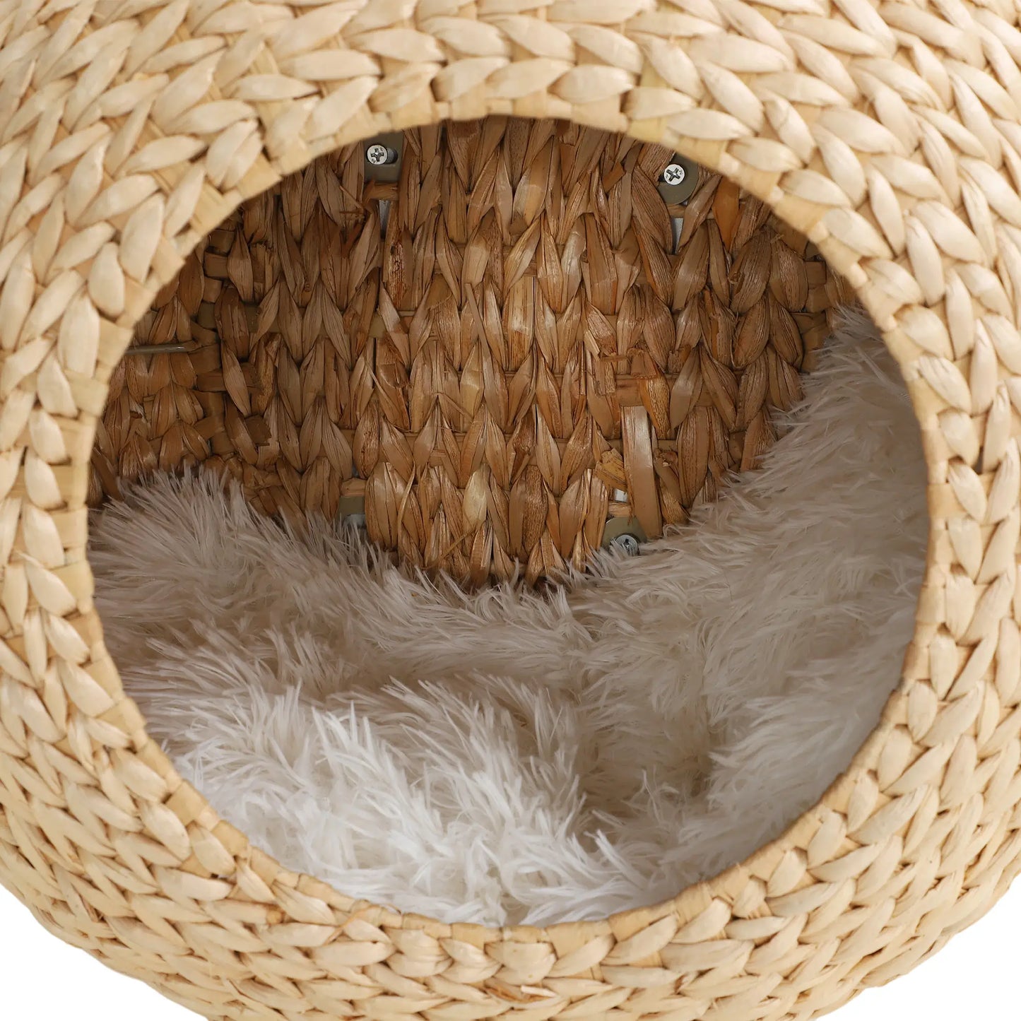 Cat Wall Shelf with Washable Cushion, Wall Mounted Cat Condo, Beige Cat Climbing Wall at Gallery Canada