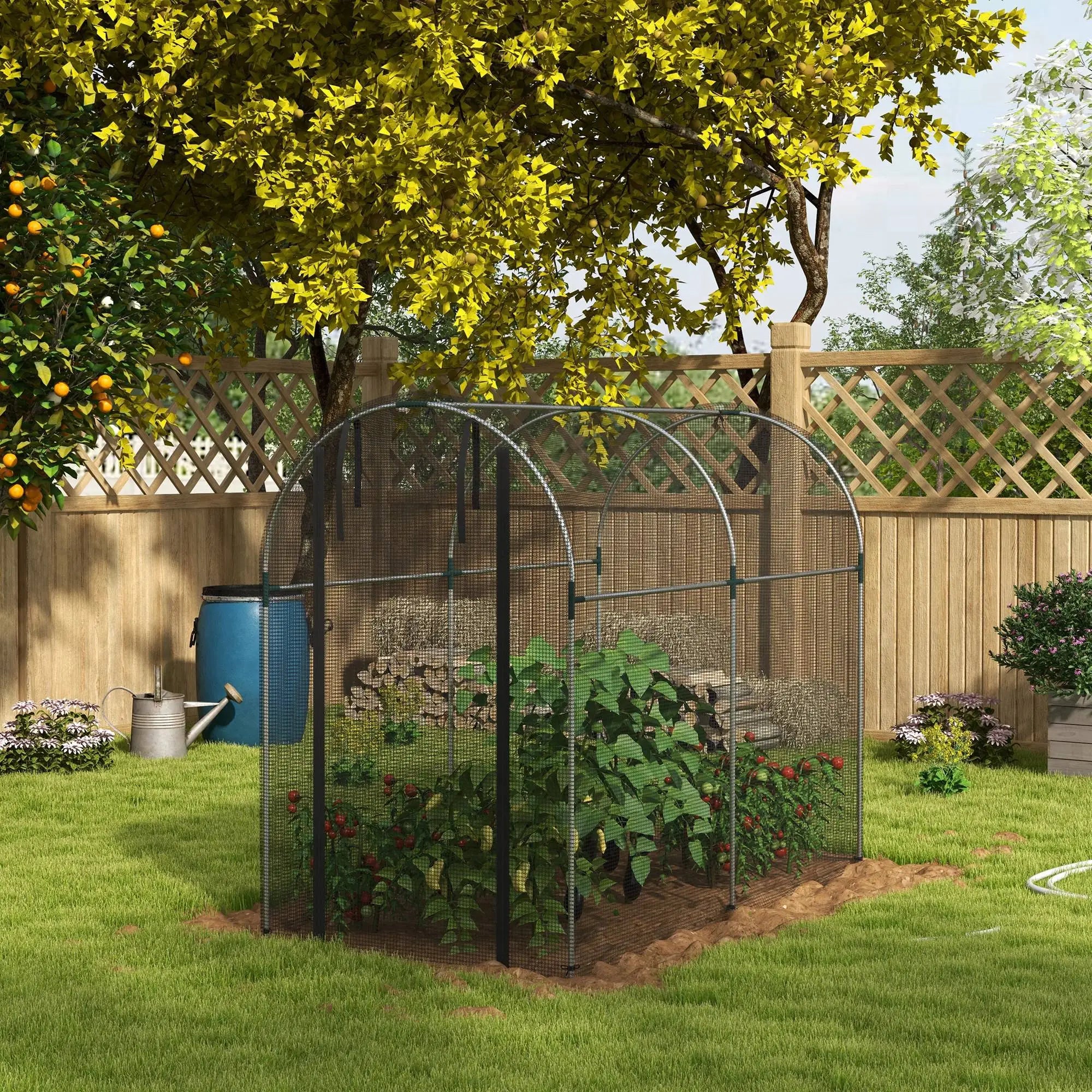 Galvanized Steel Crop Cage, Plant Protection Tent, 4' x 8', Black Walk In Greenhouses at Gallery Canada