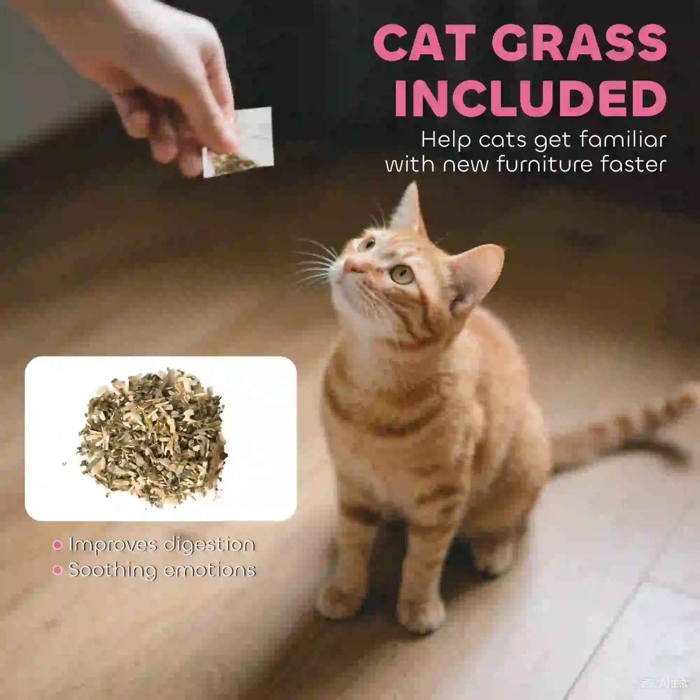 Cat Scratcher House, 2-in-1 Cardboard Scratching Pad with Door, Pink Cat Houses at Gallery Canada